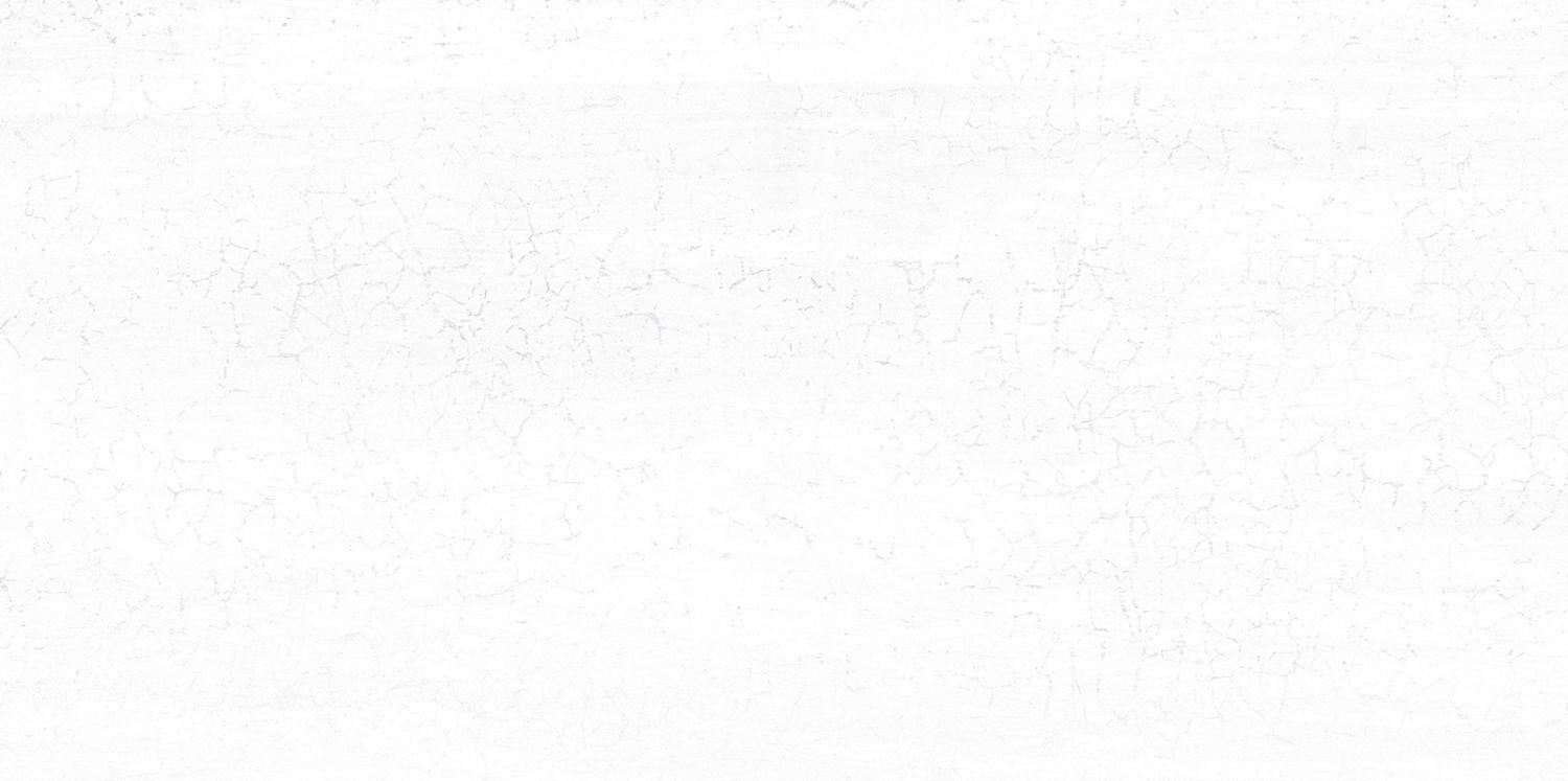Купить dax white wt9dax00 плитка настенная 249*500*7,5 (12 шт в уп/80.676 м в пал) new trend (нью тренд) недорого в Московской области с доставкой - Плиткин Дом