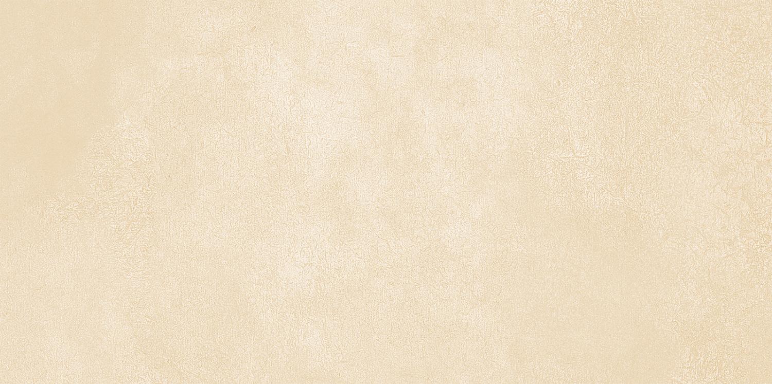 Купить petra beige wt9pet11 плитка настенная 249*500*8,5 (10 шт в уп/67.23 м в пал) altacera (альтакера) недорого в Московской области с доставкой - Плиткин Дом